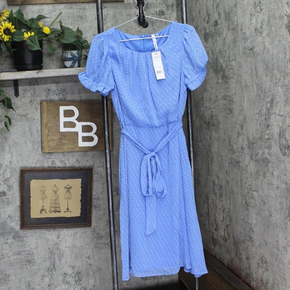 NWT Ny Collection Womens Petite Short Sleeve Belted Swiss Dot Dress Sky Blue PL - Picture 2 of 5